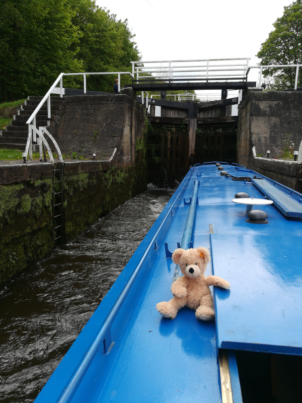 Leeds and Liverpool Canal : May 2019